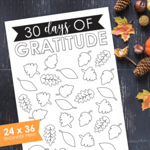 30 Days of Gratitude Poster